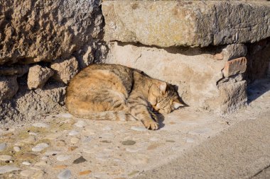 Bomarzo, Lazio, İtalya 26 Şubat 2017. Bomarzo, tüm ülke arka sokaklara kiliseler ve yer hayvanlar üzerinden ayrıntılarını