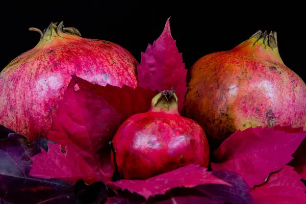 Romã Fruto Romã Composição Com Folhas Sobre Fundo Preto — Fotografia de Stock