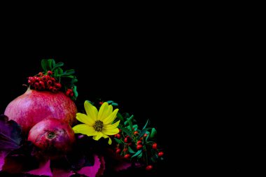 Nar, meyve ile kompozisyon nar ağacı bir siyah arka plan üzerine bırakır.