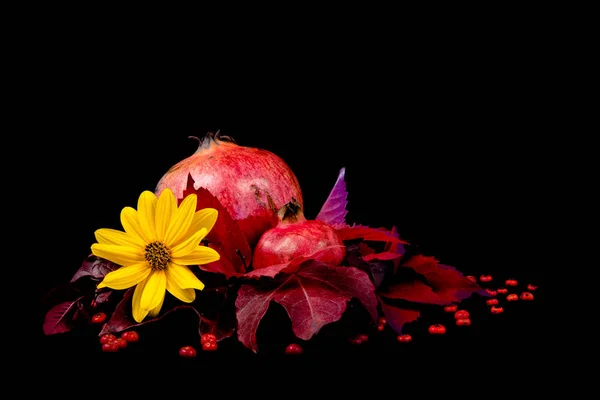 Romã Fruto Romã Composição Com Folhas Sobre Fundo Preto — Fotografia de Stock