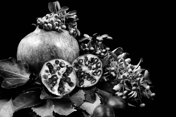 Grenade et châtaignes et fruits rouges en composition avec la lea — Photo