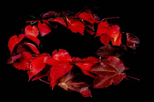 Herbstblätter Kreis Angeordnet — Stockfoto