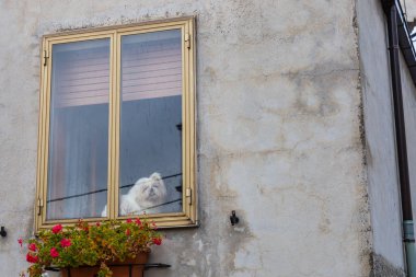 Castel di Sangro, Abruzzo, İtalya. 13 Ekim 2017. Castel di Sangro sokakları arasında fotoğraf belgeleri