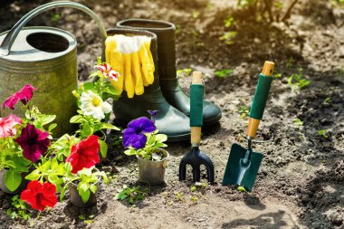 Bahçecilik aletleri ve bahçede çiçek. Sulama olabilir, kauçuk 