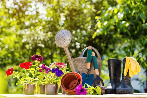 Narzędzia ogrodnicze i kwiaty na tarasie w ogrodzie. Wateri — Zdjęcie stockowe