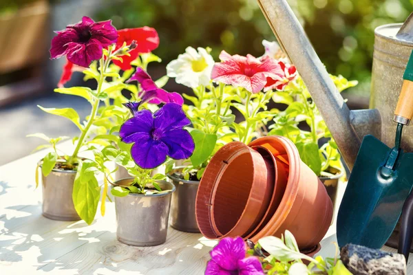 Садовий інвентар та квіти на терасі в саду. Wateri — стокове фото