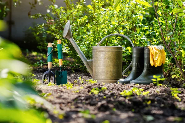 Садовые инструменты в саду. Поливочная банка, резиновые сапоги, гардины — стоковое фото