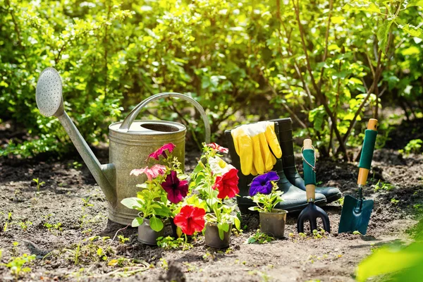 Садівництво інструментів і квітів в саду. Водопостачання, гума — стокове фото
