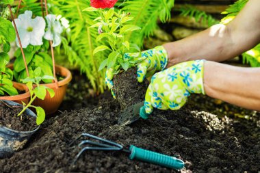 Bahçe bahçecilik aletleri. Çiçek dikim bahçıvanlar el. 
