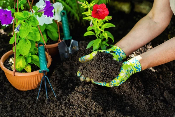 Ferramentas de jardinagem no jardim. Jardineiros mão plantar flores . — Fotografia de Stock