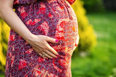 Hamile kadın oryantal fotoğraf. Eller karın sarılma. İnsan elinde tutan hamile karnına kapatın. Hamile kadının beline sarılmak. Gebelik. Gebelik kavramı