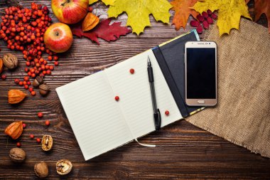 defter, kalem ve telefon sonbahar natürmort, sonbahar yaprakları, hediyeler sonbahar, ahşap arka plan, ceviz, akçaağaç yaprakları - yukarıdan Sonbahar kompozisyon. Metin için özgür yer. Renkli sonbahar yaprakları