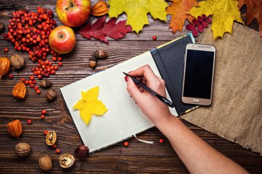 Kız, defter, kalem ve telefon sonbahar natürmort, sonbahar yaprakları, sonbahar, ahşap arka plan, ceviz, hediyeler akçaağaç yaprakları - yukarıdan Sonbahar kompozisyon yazar. Renkli sonbahar yaprakları