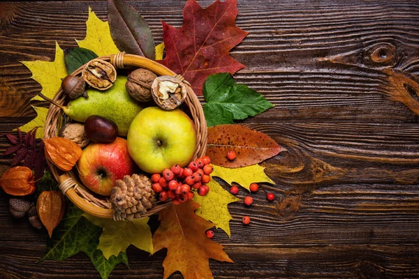 autumn still life, harvested of autumn fruit, gifts of autumn, copy space, wooden background, walnuts, maple leaves - autumn composition from top. Free space for text
