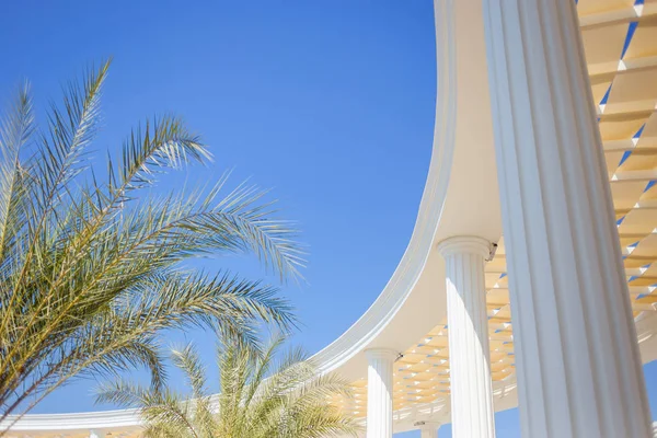 Columns on blue sky background, palm trees against a blue sky, architecture Dubai, Turkey, Egypt