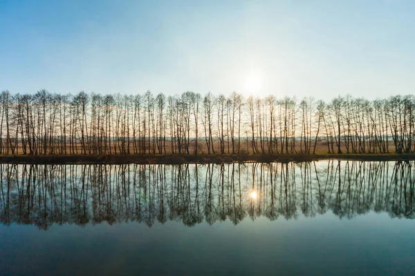 Río y bosque, mañana cerca del río en el bosque, los árboles reflejados en el agua en el lago, el hermoso paisaje, la mañana del lago — Foto de Stock