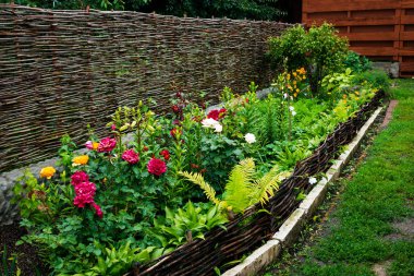 Sonbahar sezonu flowerbed. Renkli ve canlı bitkiler dokuma çit asma. Çiçek Bahçe Bahçe, bahar içinde doğa kavramı bir kavramdır