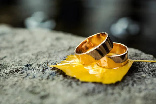 Hermosos anillos de boda sobre un fondo de piedra, en hojas de otoño, accesorios nupciales, boda europea, boda americana —  Fotos de Stock