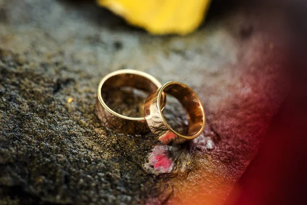 Anéis de casamento bonitos em um fundo de pedra, em folhas de outono, acessórios de noiva, casamento europeu, casamento americano — Fotografia de Stock