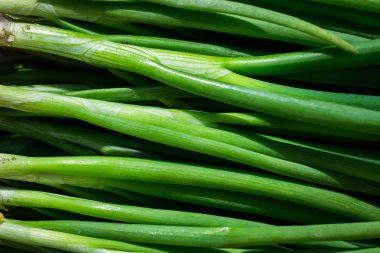 Taze genç soğan, taze soğan, taze Frenk soğanı, taze genç soğan, yeşil soğan tüyler yığın makro yüzey dokusunu, taze yeşil soğan yeşil soğan soğan demet demet kadar yakın 