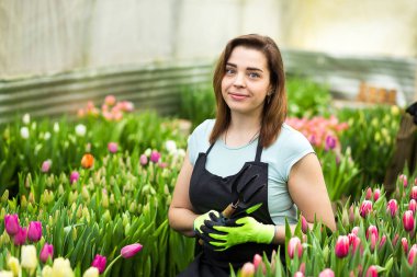Sera, sera çiçeklerle çalışan çiçekçi kadın içinde Bahçe aletleri ile kadın bahçıvan. Bahar, çok lale, çiçek kavramı, çiçek sanayi tarımı