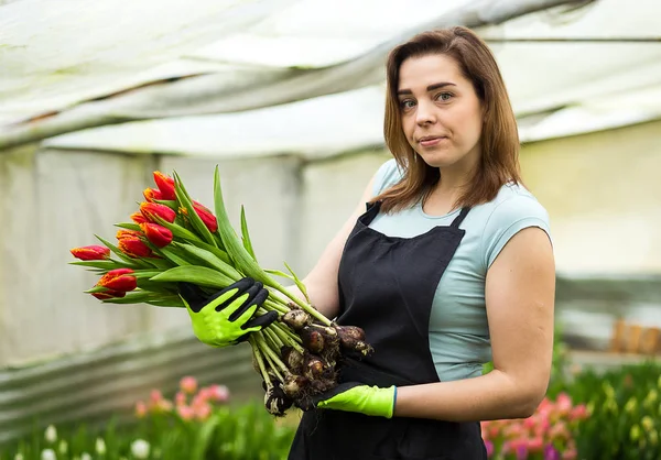 Mulher jardineiro florista segurando um buquê de flores, de pé em uma estufa, onde as tulipas cultivar, Smiling jardineiro segurando tulipas com bulbos, Primavera, muitas tulipas, conceito de flores — Fotografia de Stock