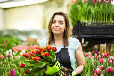 Kavramı nerede Lale yetiştirmek, bir serada, Smiling bahçıvan Lale laleler, ampuller, ilkbahar, dolu holding ayakta tutan bir buket çiçek, kadın bahçıvan Çiçekçi Çiçek