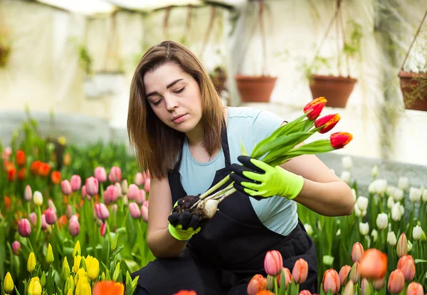 Vrouw tuinman bloemist houden van een boeket bloemen, permanent in een kas, waar de tulpen kweken, Smiling tuinman holding tulpen met bollen, lente, veel tulpen, bloemen concept — Stockfoto
