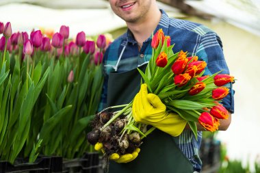 Kavramı bir buket çiçek, nerede laleler, Lale laleler, ampuller, ilkbahar, dolu tutarak gülen bahçıvan yetiştirmek bir sera ayakta tutan adam bahçıvan Çiçekçi Çiçek