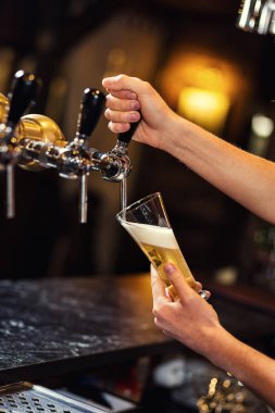 Bira musluk, dolum bardak bira ile bir fıçı bira bira, bira musluktan, yakın-up barmen el dökme bira musluk adlı barda taze bira, barmen el dökme barmen pub. Bar.Restaurant.European bar. Amerikan bar.