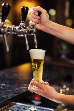 Barmen, bir fıçı bira bira, bira musluktan dökme, cam doldurma bira, taze bira, pub ile bira musluk barda taze bira, barmen el dökme. Bar.Restaurant.European bar. Amerikan bar.