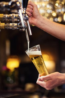 Barmen, bir fıçı bira bira, bira musluktan dökme, cam doldurma bira, taze bira, pub ile bira musluk barda taze bira, barmen el dökme. Bar.Restaurant.European bar. Amerikan bar.