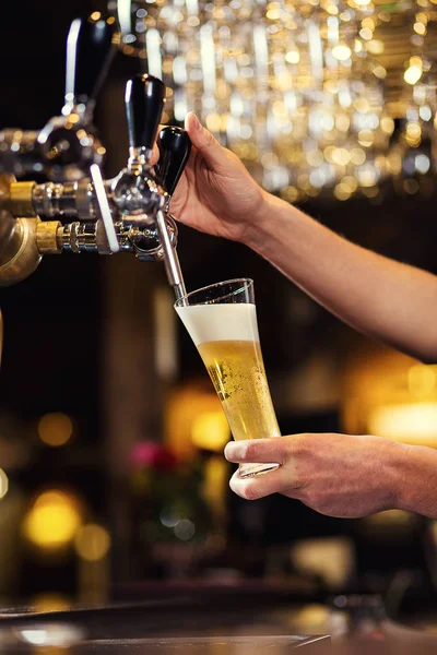 Barmen, bir fıçı bira bira, bira musluktan dökme, cam doldurma bira, taze bira, pub ile bira musluk barda taze bira, barmen el dökme. Bar.Restaurant.European bar. Amerikan bar.