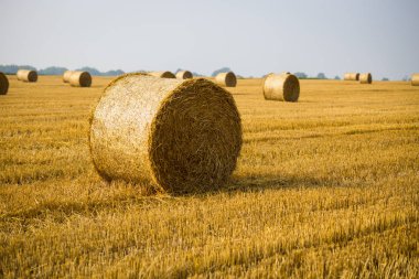 Haystacks sahada rulo. Güzel gün batımı arka plan üzerinde haystack ile yaz çiftlik sahne. Tarım Concept.Harvest kavramı