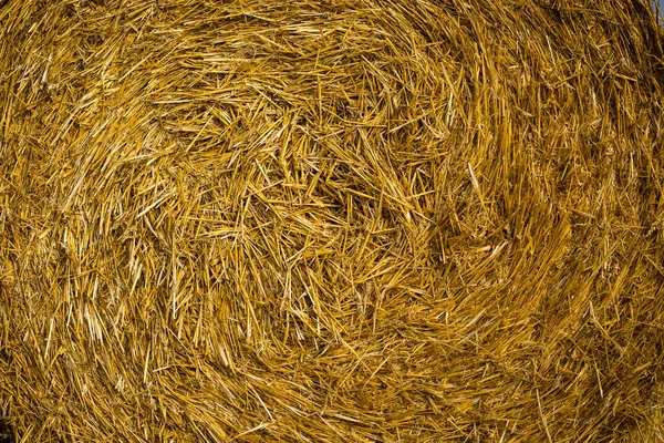 Haystacks sahada rulo. Güzel gün batımı arka plan üzerinde haystack ile yaz çiftlik sahne. Tarım Concept.Harvest kavramı — Stok fotoğraf