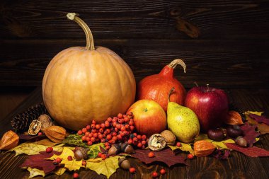 sonbahar natürmort, fall ile hasat kabaklar bırakır ve sonbahar meyve, hediyeler sonbahar, ahşap arka plan, ceviz, akçaağaç yaprakları - yukarıdan Sonbahar kompozisyon. 