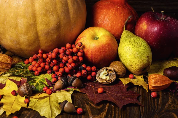 autumn still life, harvested pumpkins with fall leaves and autumn fruit, gifts of autumn, wooden background, walnuts, maple leaves - autumn composition from top.