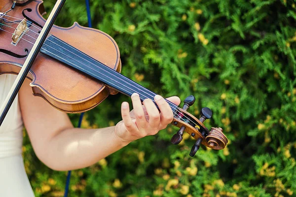 Woman playing the violin,Beautiful young woman playing violin,Girl\'s hand on the strings of a violin,Women\'s hands play the violin,close up,music concept