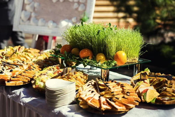 Buffet table, Canape with salmon, sandwiches, snacks, holiday table, sliced, celebration,fourchette, catering, table setting, restaurant — Stock Photo, Image