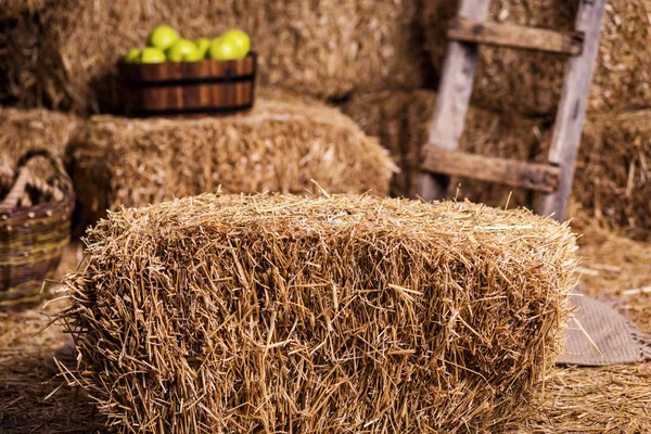 Balen van droge, gouden hooi liggen in een houten schuur onder een bladerdak. Landbouw en oogsten. Gouden stro schuur gestapeld op de boerderij, — Stockfoto