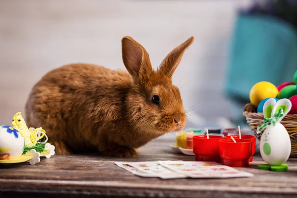 Beautiful red-haired rabbit sitting on a wooden board on a blue background,Little rabbit on wooden table.rabbits with Easter eggs,Funny little rabbit among Easter eggs — Stock Photo, Image