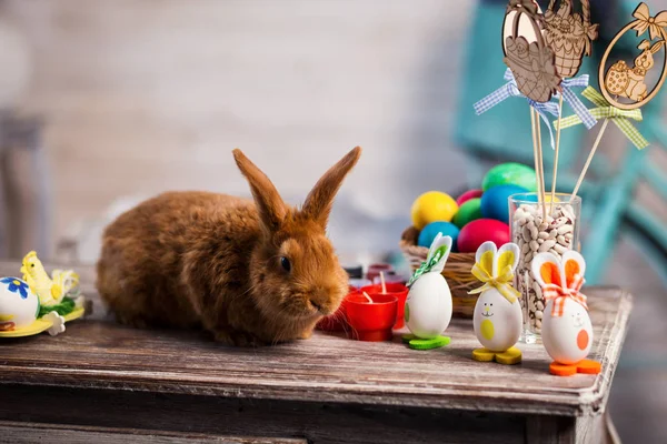 Beautiful red-haired rabbit sitting on a wooden board on a blue background,Little rabbit on wooden table.rabbits with Easter eggs,Funny little rabbit among Easter eggs — Stock Photo, Image