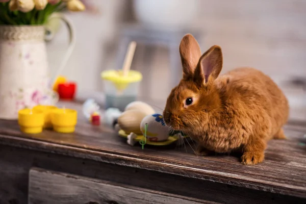 Beautiful red-haired rabbit sitting on a wooden board on a blue background,Little rabbit on wooden table.rabbits with Easter eggs,Funny little rabbit among Easter eggs — Stock Photo, Image