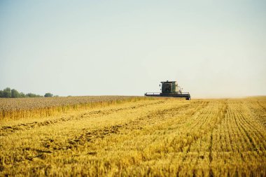 Vinnitsa, Ukrayna-Temmuz 27,2016.Grain hasat, tahıl, bir gün batımı buğday hasat boşaltma sonsuz alanlar'ın altında mavi gökyüzü, yaz peyzaj araya. Tarım, iş, doğa ve kavram