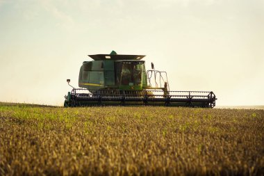 Vinnitsa, Ukrayna-Temmuz 27,2016.Grain hasat, tahıl, bir gün batımı buğday hasat boşaltma sonsuz alanlar'ın altında mavi gökyüzü, yaz peyzaj araya. Tarım, iş, doğa ve kavram