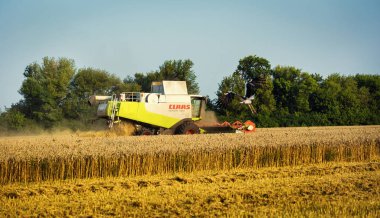 Vinnitsa, Ukrayna-Temmuz 27,2016.Grain hasat, tahıl, bir gün batımı buğday hasat boşaltma sonsuz alanlar'ın altında mavi gökyüzü, yaz peyzaj araya. Tarım, iş, doğa ve kavram