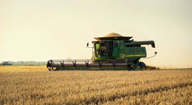 Vinnitsa, Ukrayna-Temmuz 27,2016.Grain hasat, tahıl, bir gün batımı buğday hasat boşaltma sonsuz alanlar'ın altında mavi gökyüzü, yaz peyzaj araya. Tarım, iş, doğa ve kavram