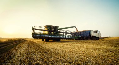 Vinnitsa, Ukrayna-Temmuz 27,2016.Grain hasat, tahıl, bir gün batımı buğday hasat boşaltma sonsuz alanlar'ın altında mavi gökyüzü, yaz peyzaj araya. Tarım, iş, doğa ve kavram