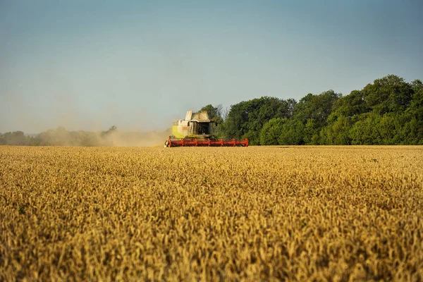 Vinnitsa Ukraina-juli 27,2016.Grain skörd kombinera, sommar landskap av ändlösa fält under blå himmel, lossning korn, skörda vete på en solnedgång. Jordbruk, arbete, natur och koncept — Stockfoto