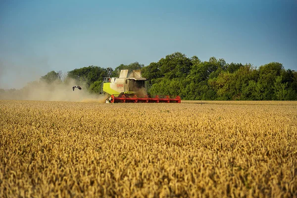 Vinnitsa, Ukrajina-Červenec 27,2016.Grain sklizeň kombinovat, letní krajina nekonečná pole pod modrou oblohou, vykládání zrna, sklizeň pšenice na západ slunce. Zemědělství, práce, příroda a koncepce — Stock fotografie